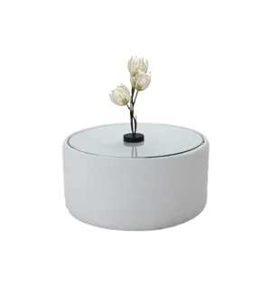 1661775706ValeriaCoffeeTable-main