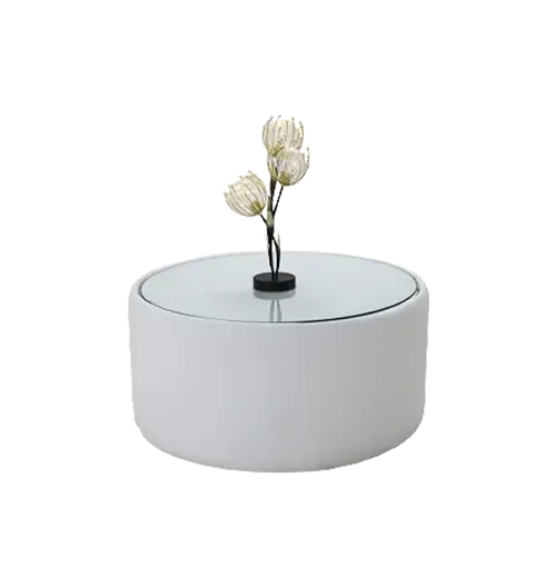 1661775706ValeriaCoffeeTable-main