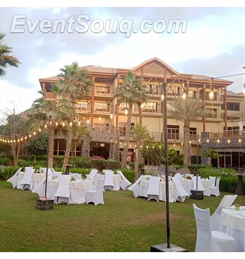 1662100919bulb_Main 1662100919bulb_Main