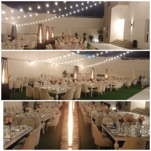 1675059267030 1675059267030