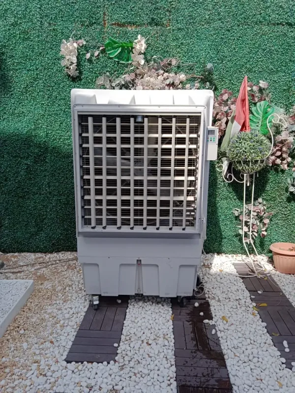 IMG-20211104-WA0005 IMG-20211104-WA0005